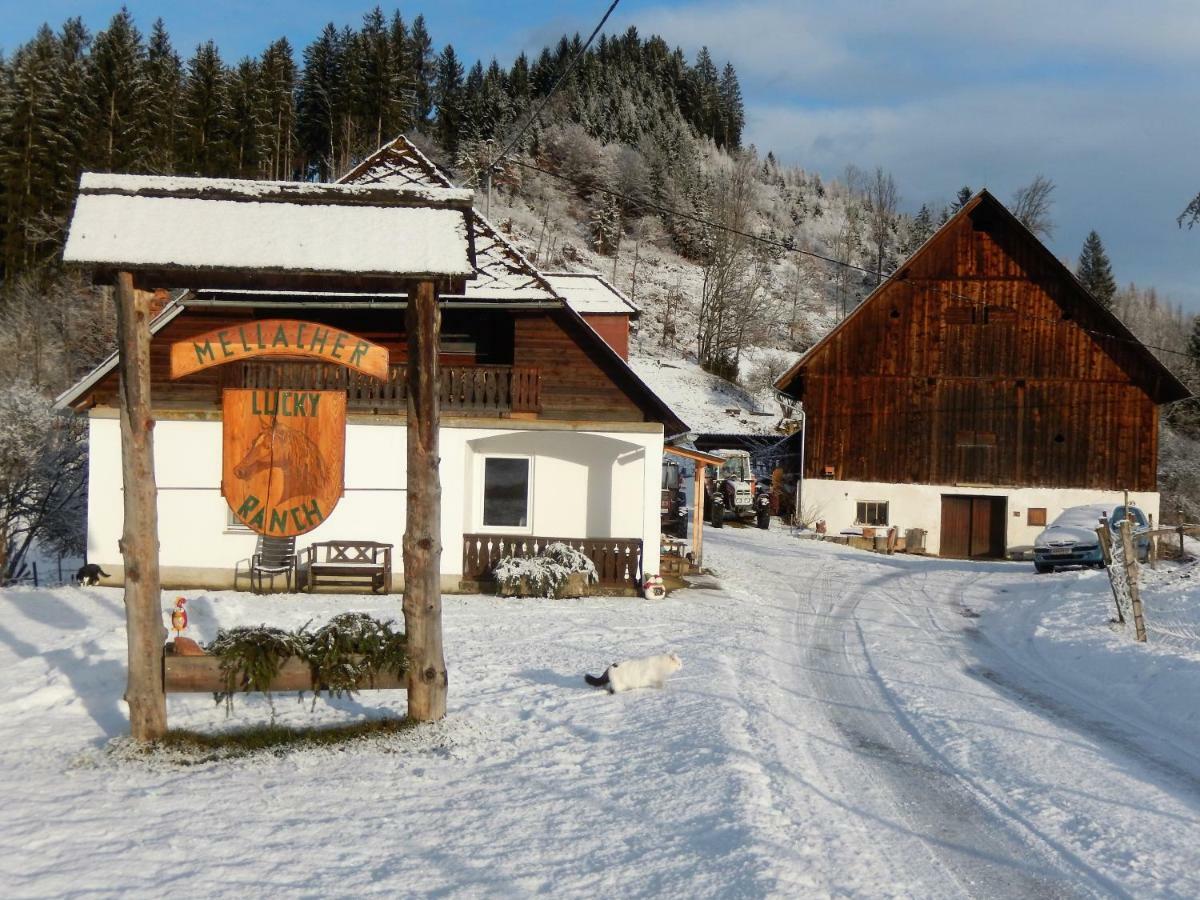 Ferienhaus Am Reitbauernhof Luckyranch Mellach  Exterior photo